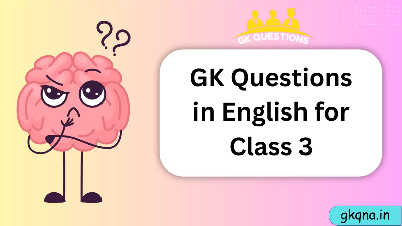 GK Questions in English for Class 4
